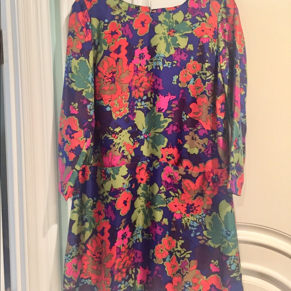 J Crew dress
